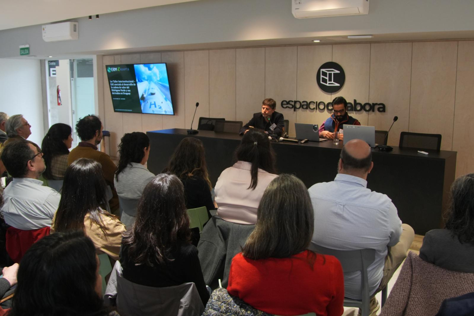 Taller: Evaluación Ambiental Estratégica de la cadena valor del hidrógeno verde y sus derivados