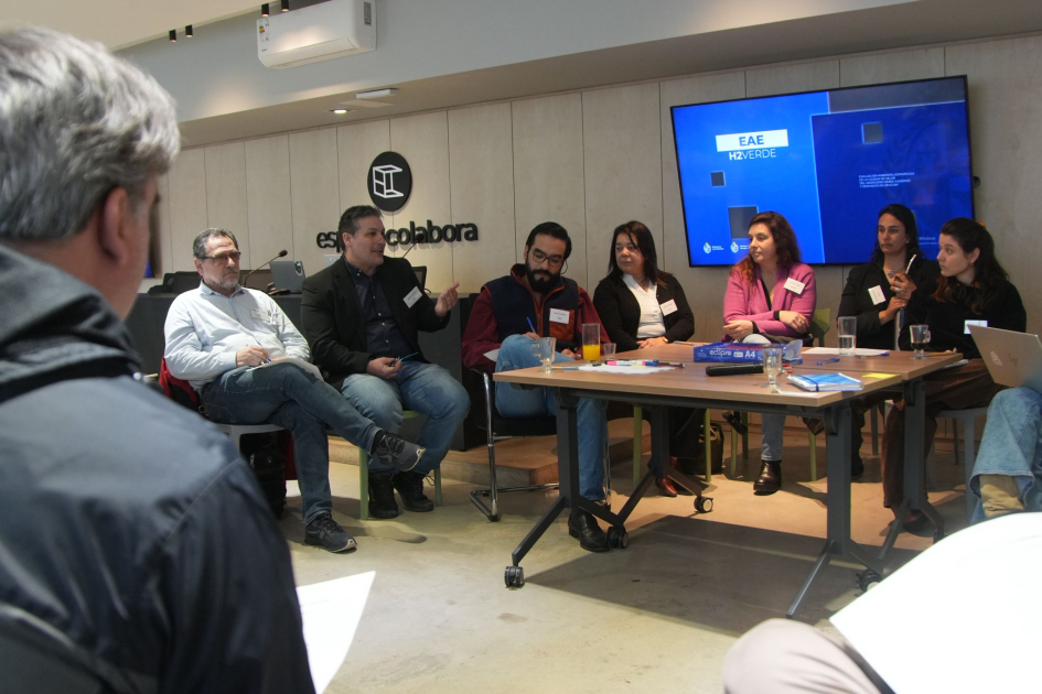Taller: Evaluación Ambiental Estratégica de la cadena valor del hidrógeno verde y sus derivados