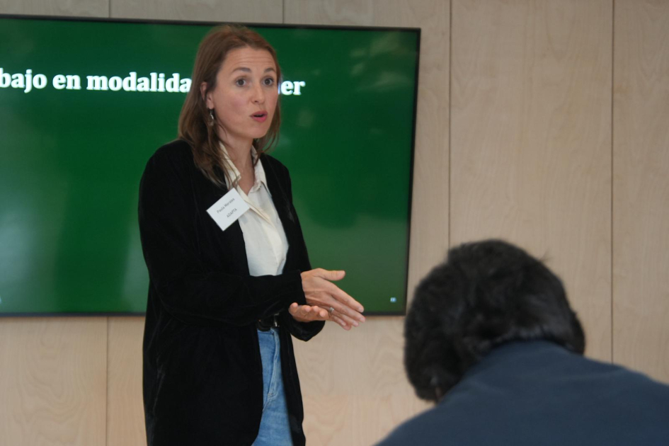 Taller: Evaluación Ambiental Estratégica de la cadena valor del hidrógeno verde y sus derivados