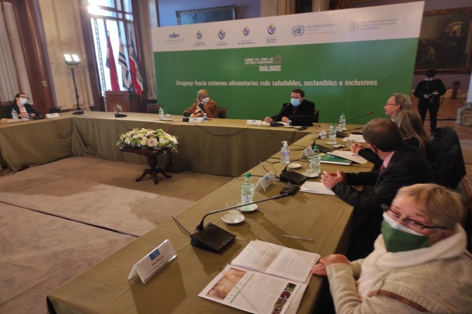 Diálogo Nacional “Uruguay: Hacia sistemas alimentarios más saludables, sostenibles e inclusivos” Diálogo Nacional “Uruguay: Hacia sistemas alimentarios más saludables, sostenibles e inclusivos”