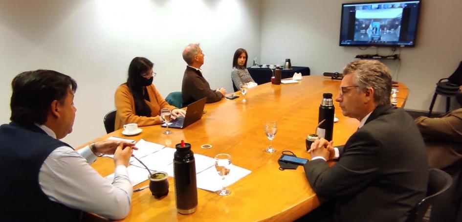 Lanzamiento Proyecto Binacional Lanzamiento Proyecto Binacional