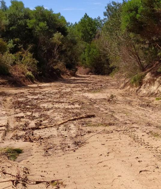 Inspección obra camino en Cerro Verde