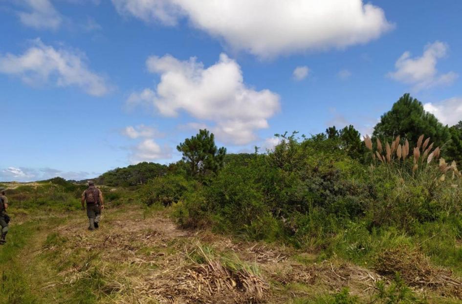 Inspección obra camino en Cerro Verde