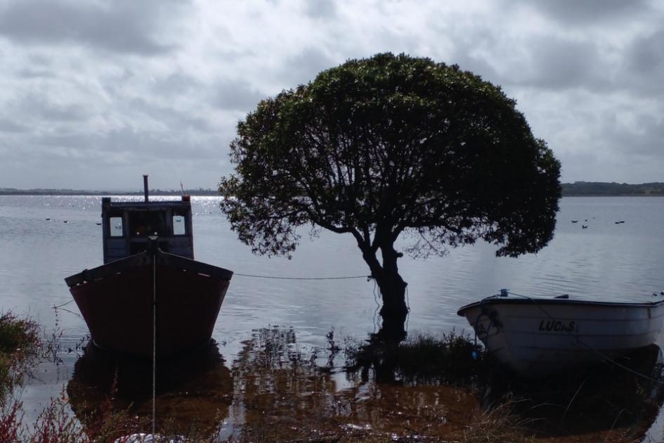 Laguna José Ignacio, Maldonado (Foto: Ana Martínez, Dinara - MGAP) Laguna José Ignacio, Maldonado (Foto: Ana Martínez, Dinara - MGAP)