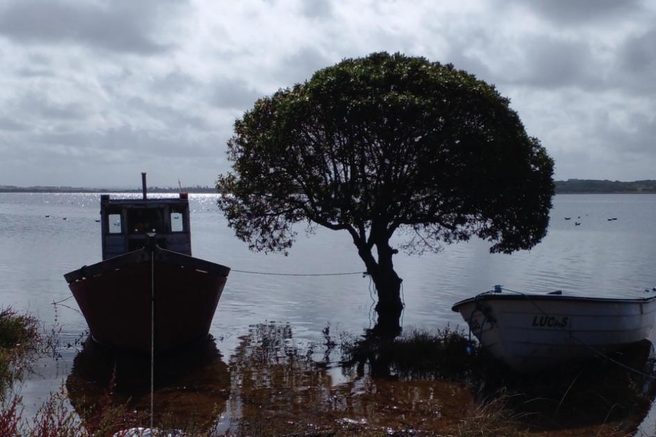 Laguna José Ignacio, Maldonado (Foto: Ana Martínez, Dinara - MGAP)