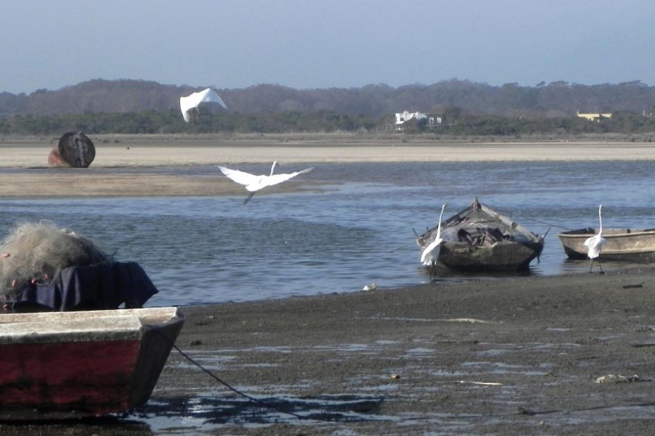 Laguna José Ignacio, Maldonado (Foto: Ana Martínez, Dinara - MGAP)