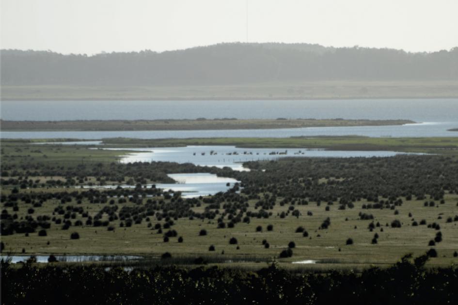 Laguna José Ignacio, Maldonado (Foto: Ana Martínez, Dinara - MGAP)