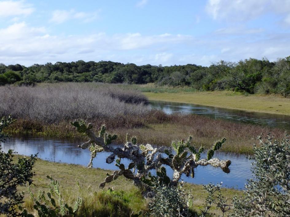 Laguna Garzón