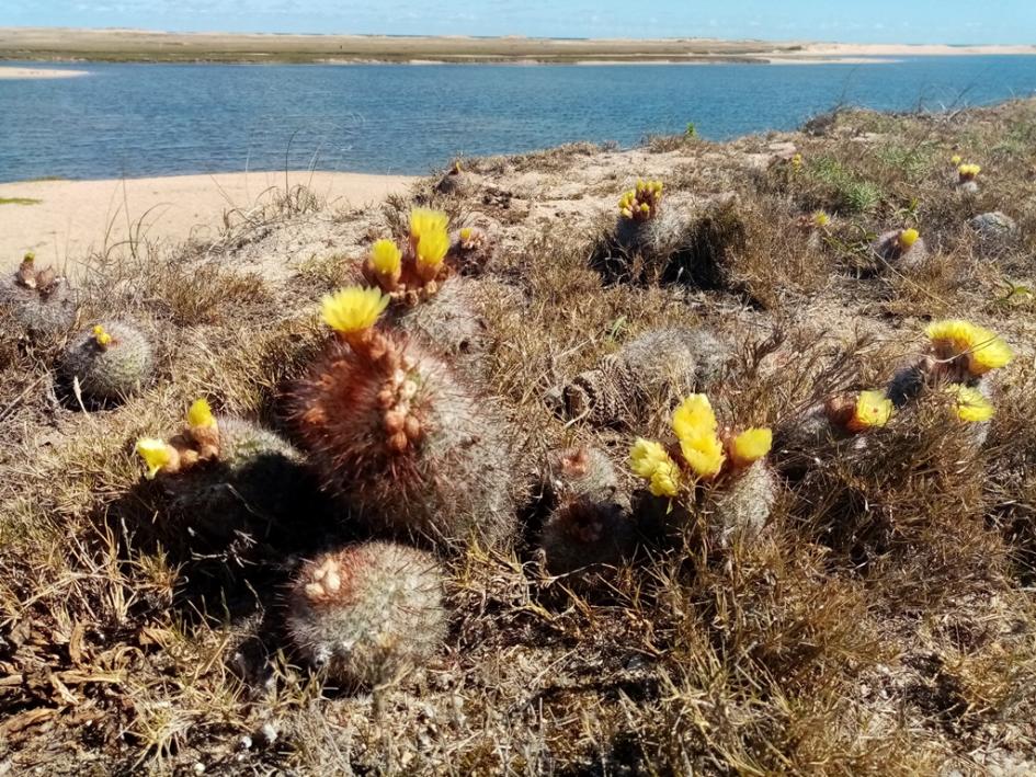 Laguna Garzón