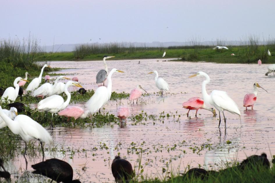 Programa de Monitoreo Interinstitucional: Laguna de Castillos