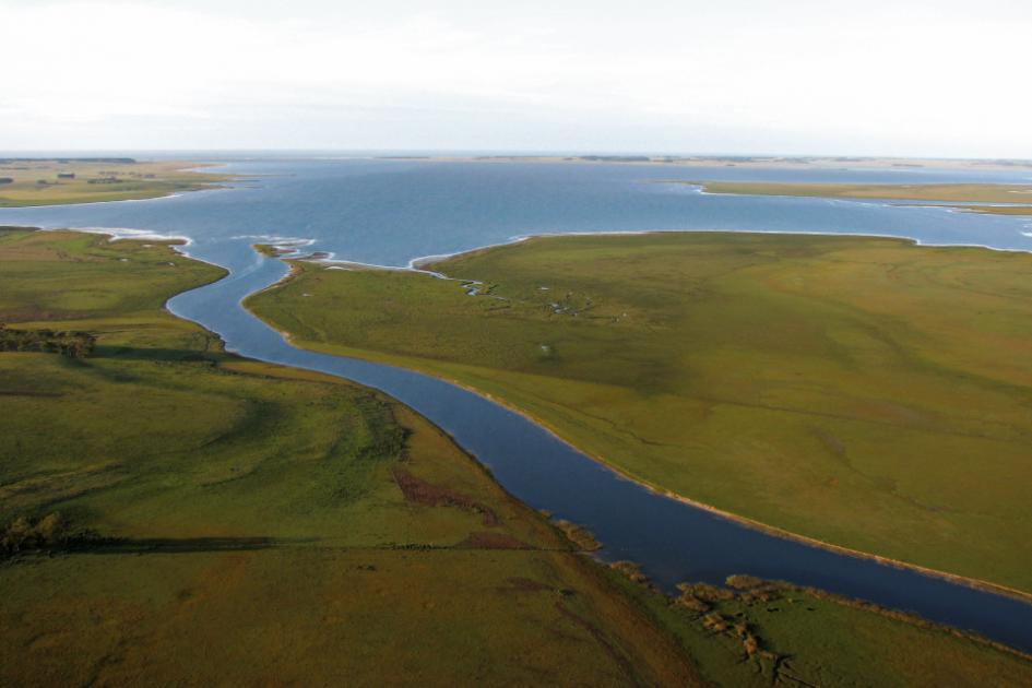 Convocatoria a investigadores: como autores en evaluaciones a desarrollarse en Plataforma IPBES Laguna de Rocha