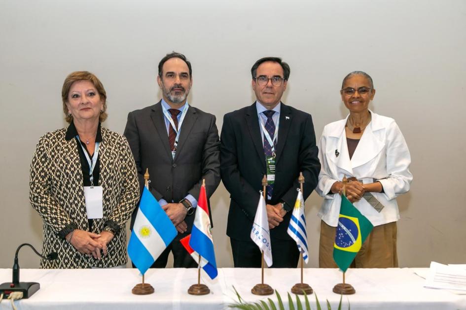 Mercosur Bouvier Mercosur Bouvier