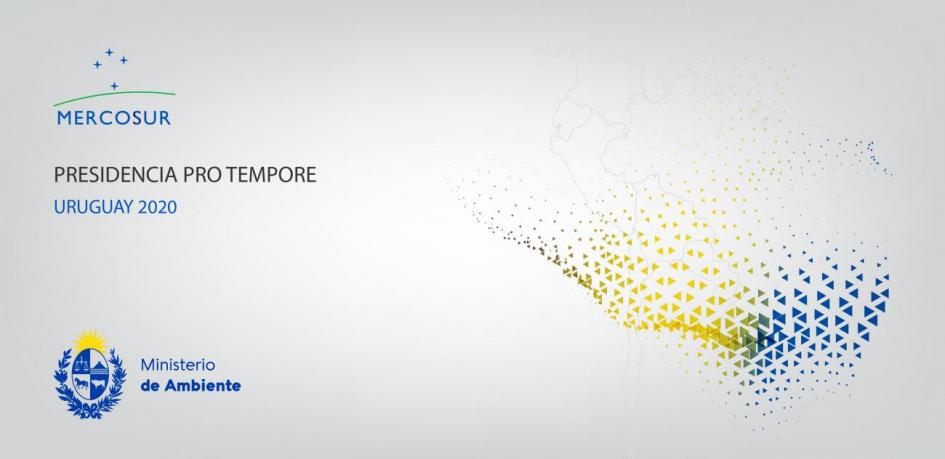 Reuniones Mercosur y Estados Asociados Imagen de la Reuniones Mercorur 2020