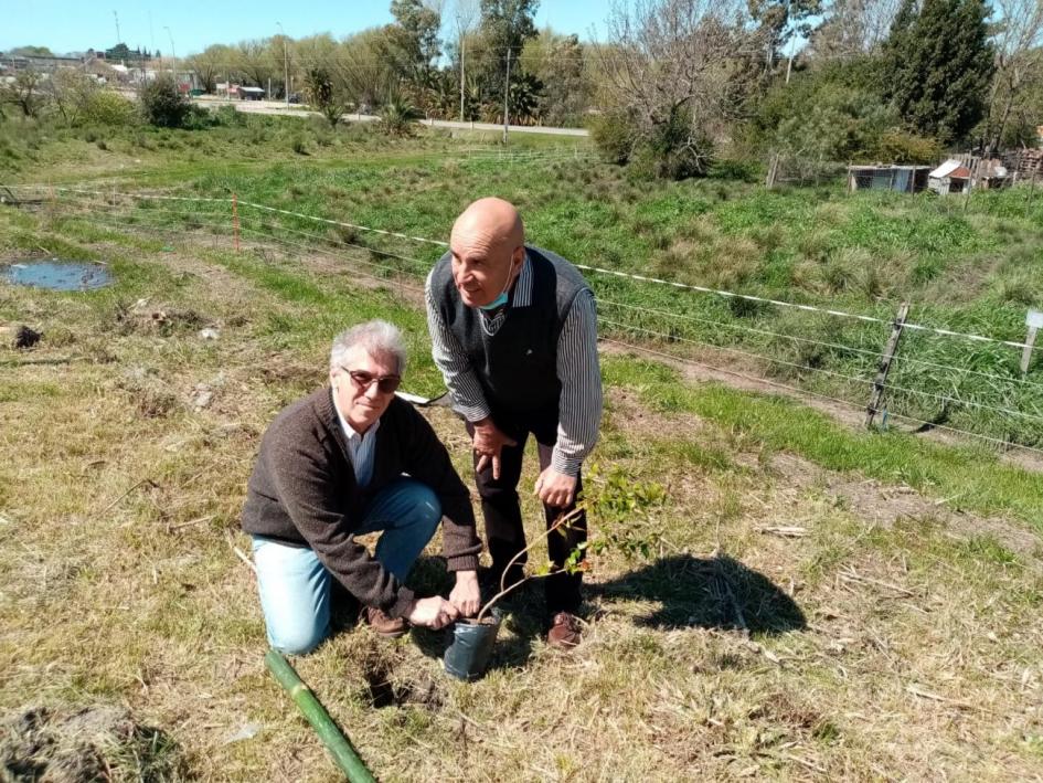 Plantatón Soriano (Cardona) y Florencio Sánchez (Colonia), plantación de árboles nativos