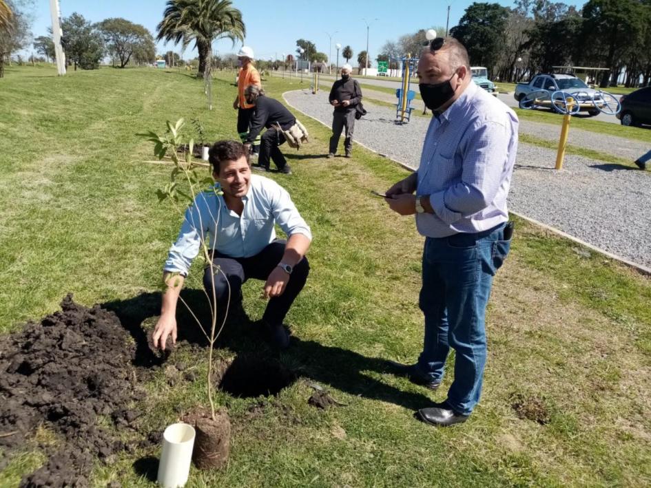 Plantatón Soriano (Cardona) y Florencio Sánchez (Colonia), plantación de árboles nativos