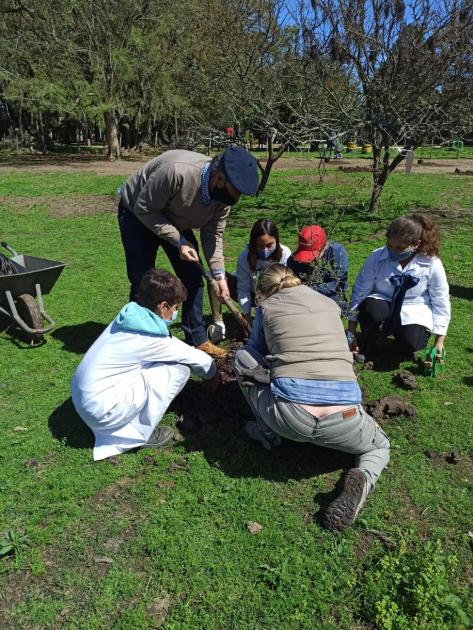 Plantatón Flores, plantación de árboles nativos