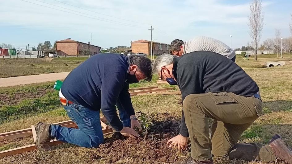 Jornada de plantación de árboles nativos en Treinta y Tres