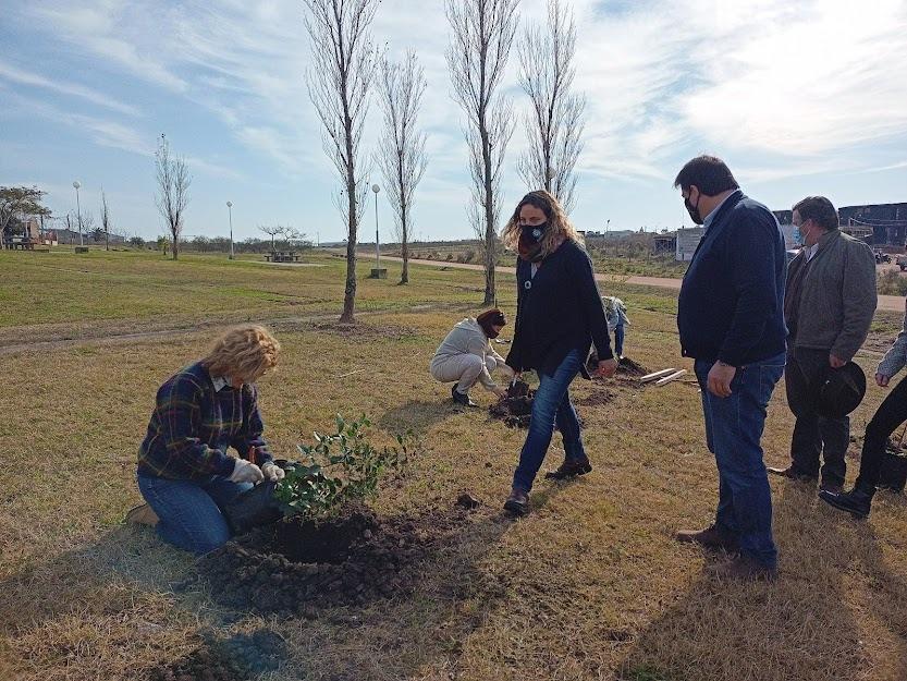 Jornada de plantación de árboles nativos en Treinta y Tres