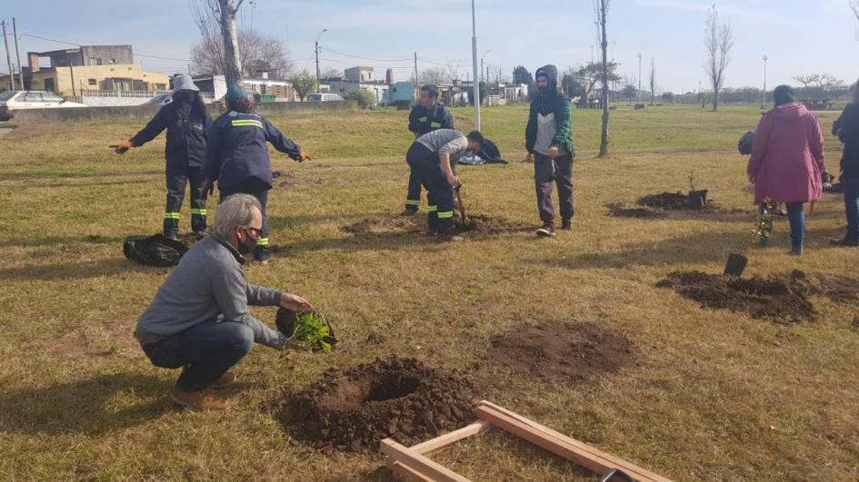 Jornada de plantación de árboles nativos en Treinta y Tres