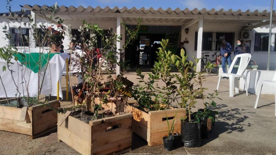 Plantación de nativas en Fray Marcos