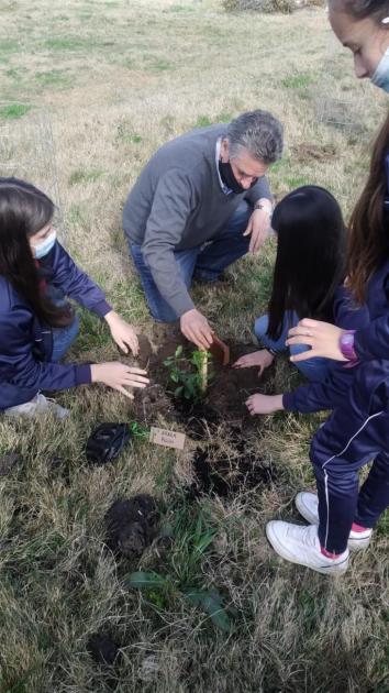 Plantación de nativas en Fray Marcos