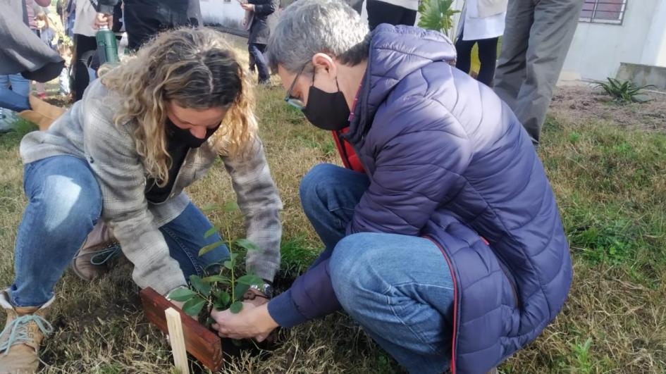 Jornada Plantatón en Fray Marcos Plantación de nativas en Fray Marcos