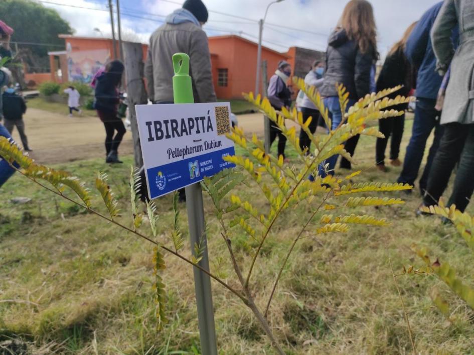 Plantatón Uruguay en Migues (Canelones) Plantación de árboles nativos en Migues