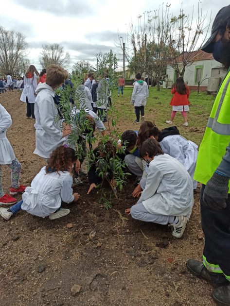 Plantación de especies nativas en San Bautista