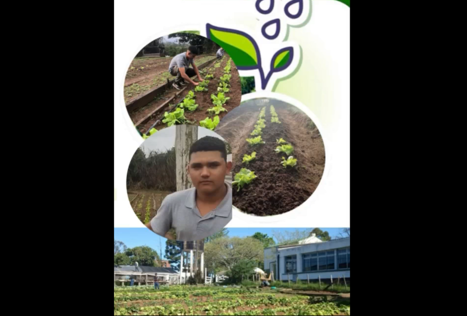 Categoría B: Polo Tecnológico Educativo Rivera Categoría B: Polo Tecnológico Educativo Rivera