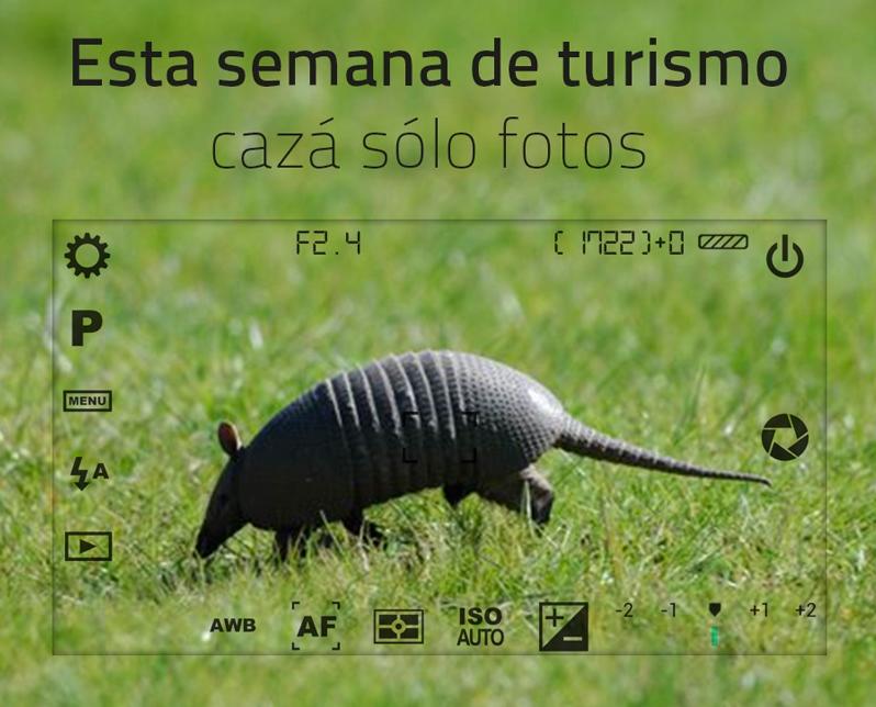 Cazá solo fotos mulita