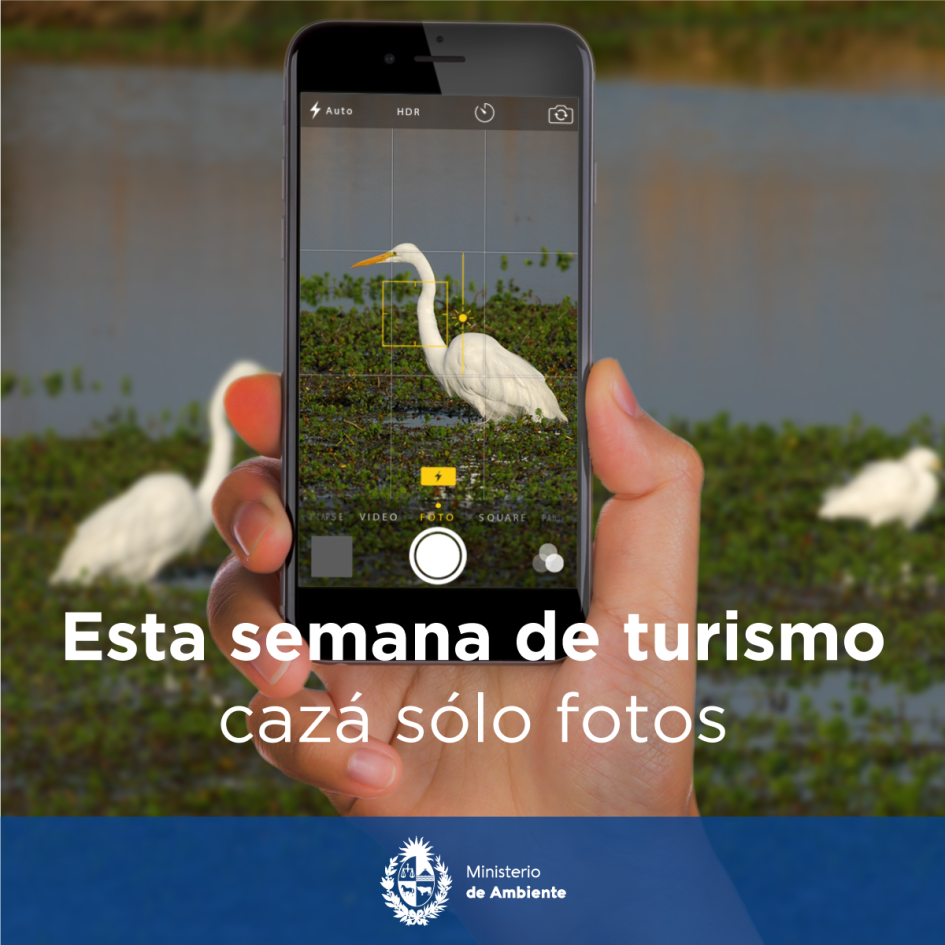Campaña: “Cazá solo fotos” - Semana de Turismo Campaña: “Cazá solo fotos” - Semana de Turismo