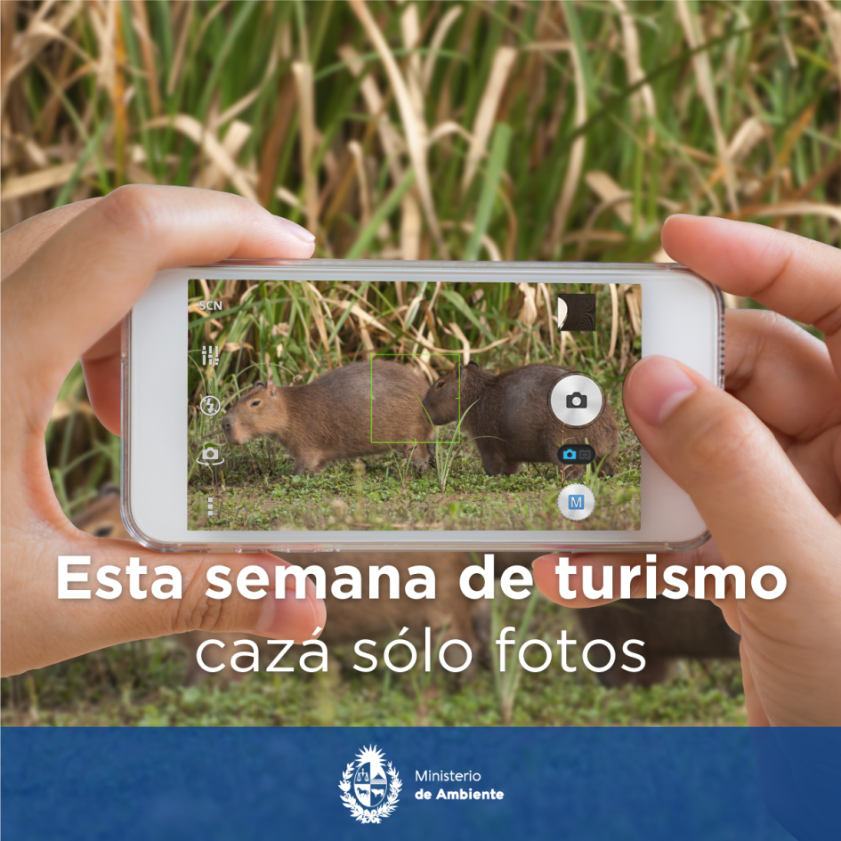 Campaña: “Cazá solo fotos” - Semana de Turismo Campaña: “Cazá solo fotos” - Semana de Turismo
