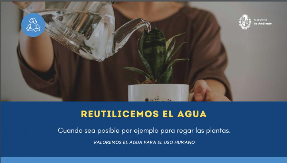 Prácticas para cuidar el agua