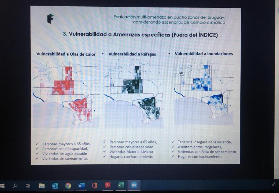 Impresión de pantalla de encuentro a través de la plataforma zoom