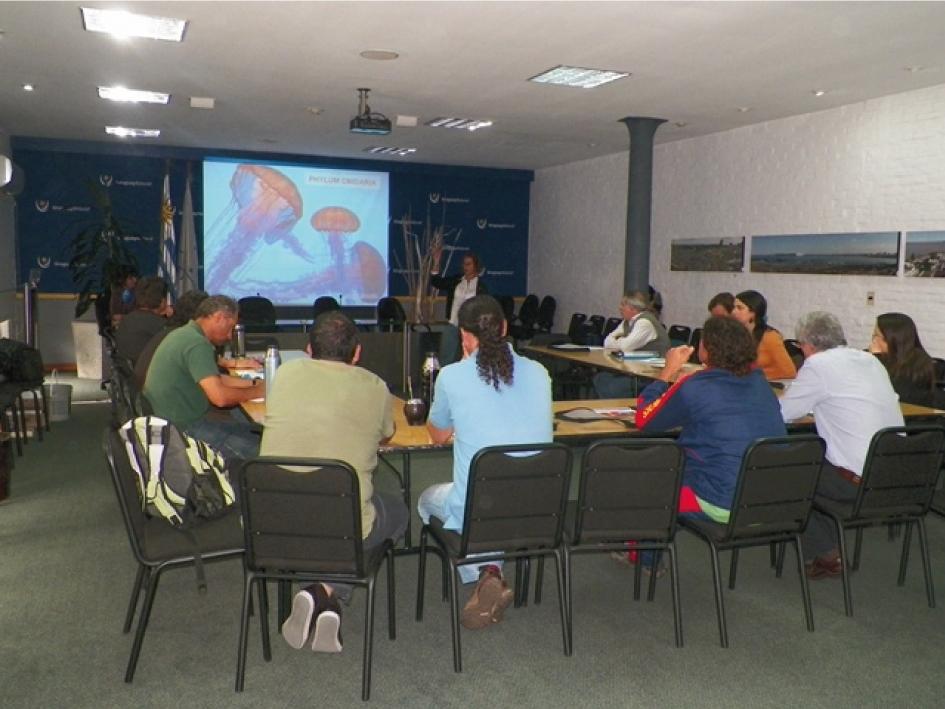 Talleres de capacitación del MA, dirigidos a técnicos y personal de las intendencias Talleres de capacitación del MA, dirigidos a técnicos y personal de las intendencias