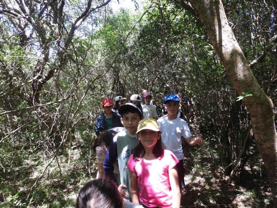 Concurso "Cápsulas de Agua" Concurso "Cápsulas de Agua"