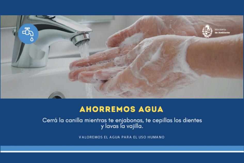 Prácticas para cuidar el agua