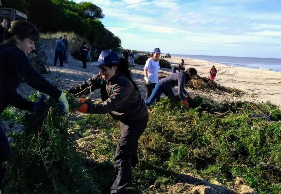 Voluntariado Voluntariado