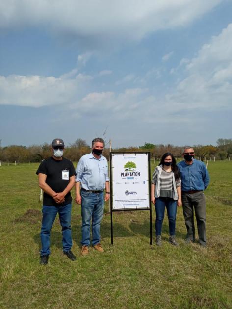 Plantatón 2020 en Salto Plantatón 2020