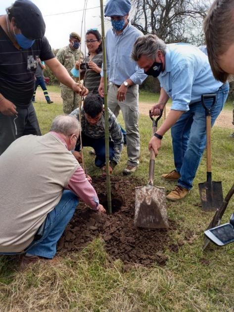 Plantatón 2020 en Salto Plantatón 2020