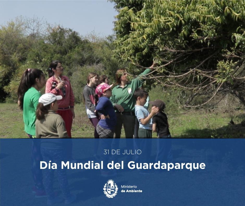 Guardapaque "