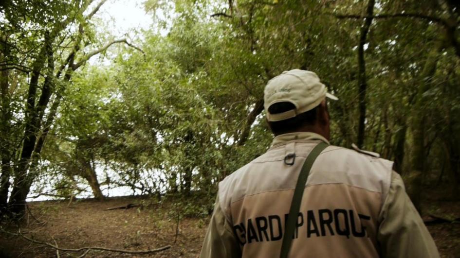 Guardaparque "