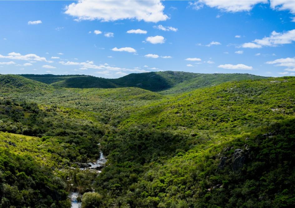 Día Mundial del Medio Ambiente Día Mundial del Medio Ambiente