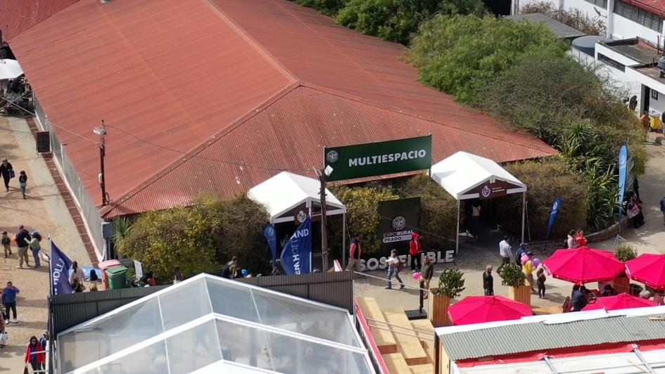 Paseo Sostenible Expo Prado 2024 Paseo Sostenible Expo Prado 2024