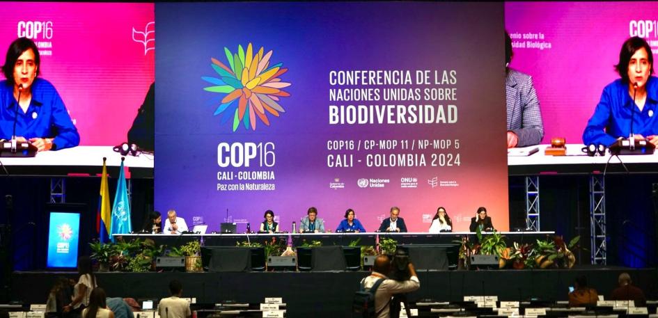 Uruguay en la Cop16 de Diversidad Biológica Uruguay en la Cop16 de Diversidad Biológica