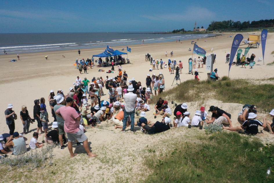 Limpieza de Costas Limpieza de Costas