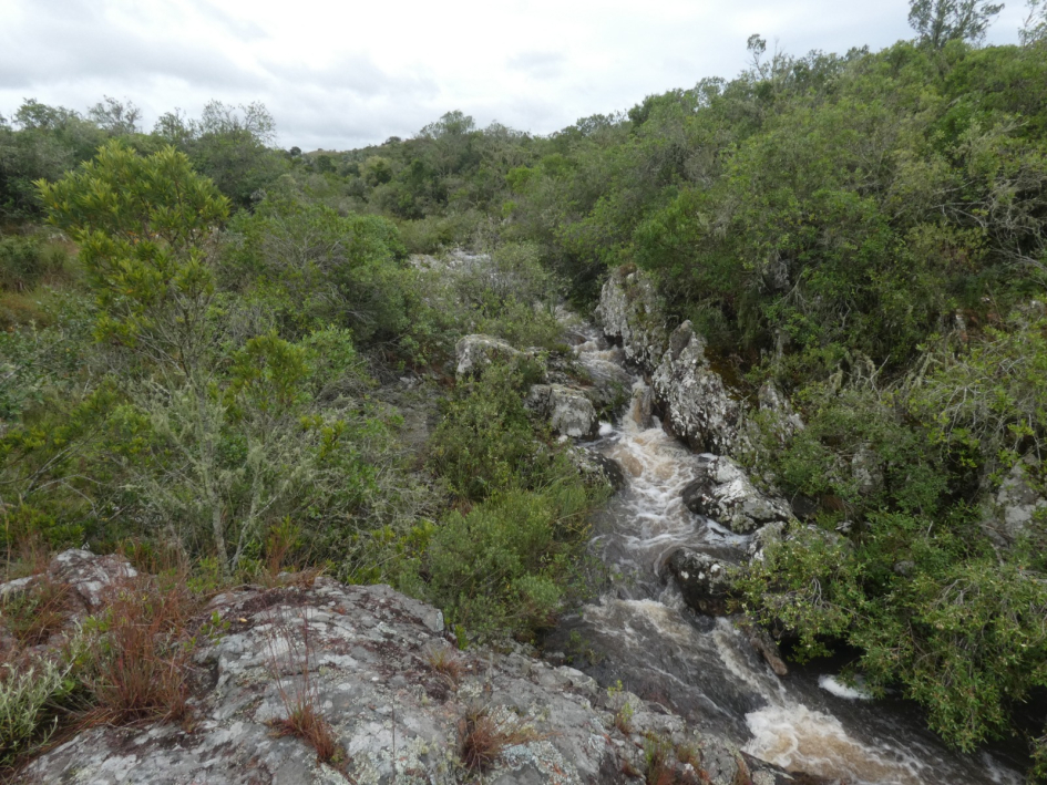 Reservas privadas Reservas privadas