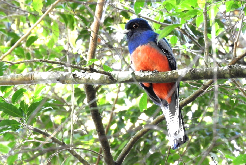 Reservas privadas Reservas privadas