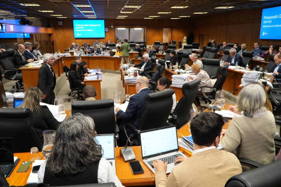 Presentación ante Comisión de Presupuesto y Hacienda del Senado