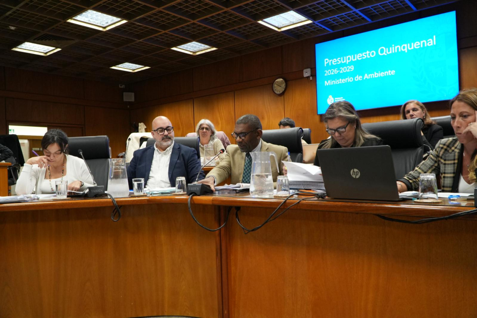 Presentación ante Comisión de Presupuesto y Hacienda del Senado